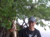 Nice 7lbs Northern Pike Caught On Des Plains River,IL In Mid-May, Using Chicken Breast For Bait