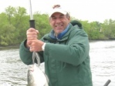 Hudson River Striper. Caught May 2009. Live lined herring on circle hook.