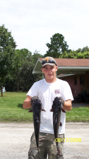 These catfiish are blue channel cats from florida they were caught on a private lake in bartow, fl one weighed 5 pounds and 6 ounces the one on the right wieghed 6 pounds 2 ounces they are nice for Florida Cats
