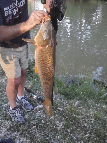 45 pound carp in the erie canal my dad holding my catch
