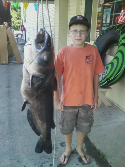 47.5 pound Blue Catfish caught on Badin Lake, North Carolina, on July, 27, 2011 by 12 year old Drew Mathison, using cut bait.