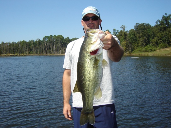 Caught in Lucedale, MS on a swimbait. It weighed 5lbs 10oz.