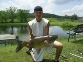 I caught this 30 pound Grass Carp while pond fishing last June trying to catch bluegill off your basic bread balls. It took about 2 minutes to land and I was using a micro rod and a Zebco 33 reel with 12 lb. test mono.