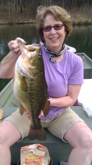 My wife Rosemary caught this 11 pounder in a private St. Clair county Al. lake using a Shad Rap crank bait.