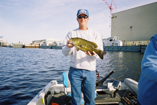 smallmouth bass caught in menominee river michigan spring of 08
