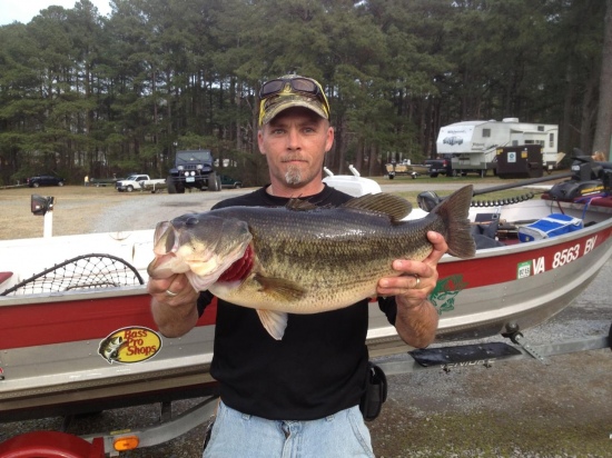 Fishing a local tournament I landed  this 9lb 12oz pig on 8lb florocarbon using a 4