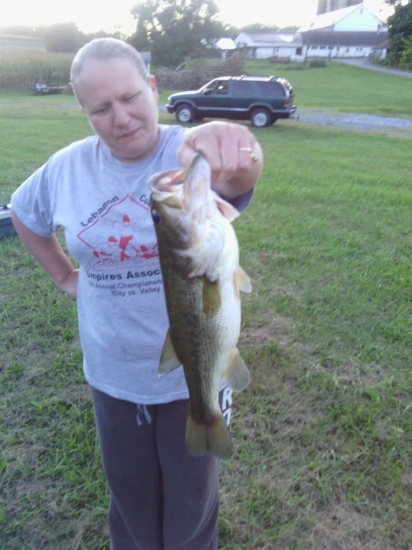 19 in largemouth caught on live minnow at a local pond in Lebanon, PA