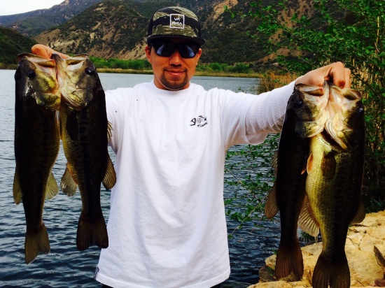 Caught all four in Ojai ca  Each weighing well over 2lbs