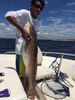 My son caught a 40lb red in panama city