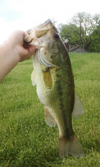 I caught this georgus 5 pounder at my Grandpas Pond.....