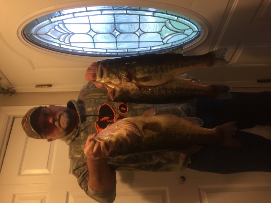 Fish was caught in a SE Missouri lake that was becoming over populated and where transplanted to new location. Fish where transported in a modified color to keep healthy and alive. All five weighed over five pounds each.