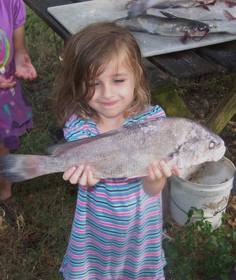 Rebecca caught this nice little gaspergoo at the age of 5. It was her first overnight camping trip.