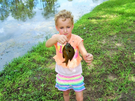 My 6yr old daughter Elizabeth with a nice Perch caught on the July 4th weekend in Plantersville, Tx. She loves to fish