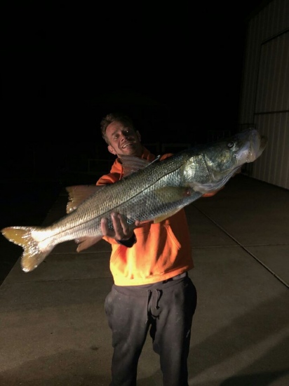 41 inch snook giant girth appx 30 pounds