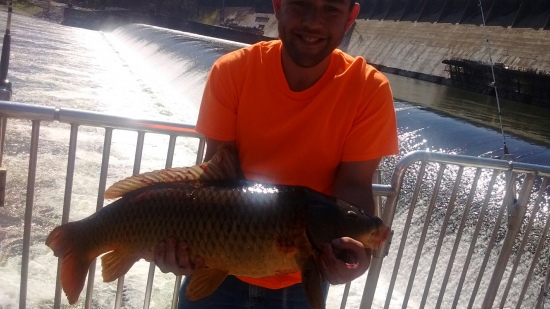 *Caught it at Hinton dam weighted 19.6 pounds