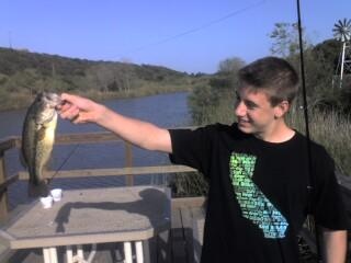 I caught this fish at Lake Miramar, CA, this fish weighed in at 2.3 lbs, and caught it on a jerk bait