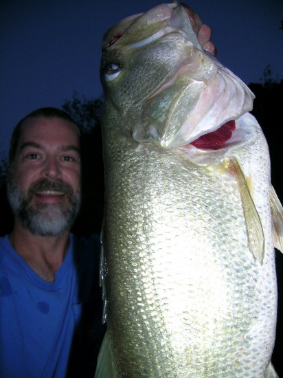 Caught this nice bass at the break of dawn with a white grub. Measured 24 inches in length!