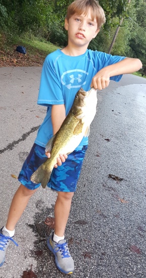 This is just one of the beauties my son Aiden has caught in the Susquehanna River in Etters PA.