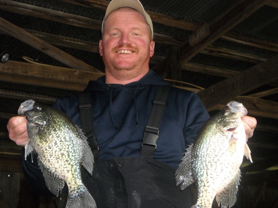 These are just a few of the crappie I've caught in Lake Degray in Arkansas in the past few weeks. What I really want to catch is catfish... I've lived here all my life and can fish with the best of them but never had that good of luck with The OLE Cats. You have any suggestions or how about you come down and we fish together......