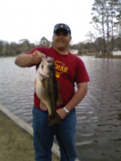 caught on a blue and chartreuse(spelling) 1/2oz. spinner bait in three and a half feet of water in late-afternoon. this big ol' pig weighed in at 9lbs 6oz. and still had a perch in its mouth which looked to have been freshly eaten.