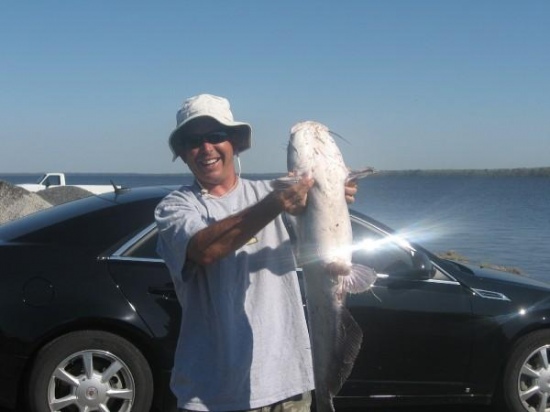 In Morgan city La I caught this 38 pound Blue Catfish. Best thing I used a 12 dollar Walmart rod and reel.