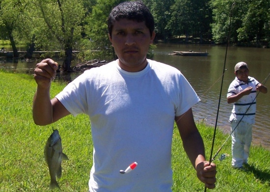 Luepe caught his very first fish ever! I had no idea when I handed him a rod and real that he did not know how to use it. I just thought everyone knew how.  He was very excited and ask me to go fishing alot now. He caught this fish on Lake Clara in Hickory Withe, TN. This is a private lake and we were given permission from a homeowner named Jack Buzard. Thanks Jack.