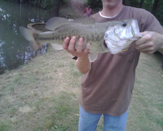 I caught this 5 Pound Bass in a private lake in Temple,Ga with a 7 inch watermelon/pepper lizard.