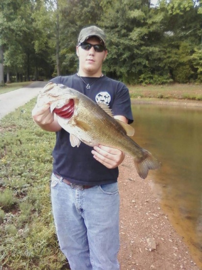 Lake on my land. Caught it on the Strike King Midnight Special Spinner Bait. 12lbs 8oz