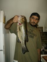 8lbs largemouth caught at cochituate satate park in framingham ma.