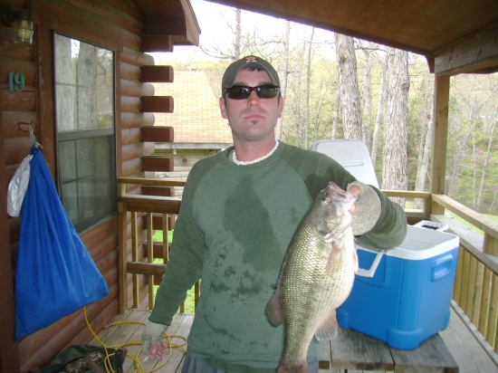 Spotted Bass caught on Table Rock Lake. Prespawn.