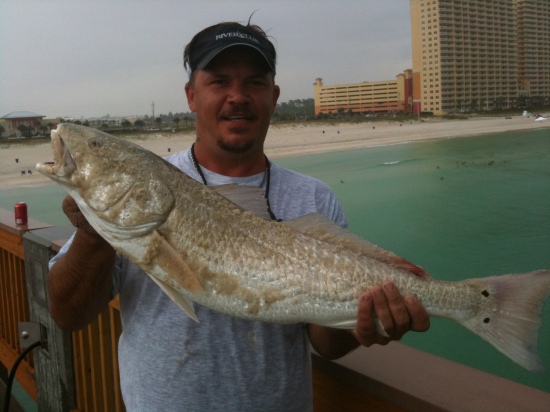Andrew caught this redfish off of Panama City Beach. He had to toss his rod to the beach and finish the job from shore. Of course, it was too big to keep, so he successfully released it back into the Gulf.