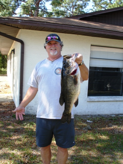May-08 Caught on spinnerbait char/wht  10.78lbs I caught this early morning running it along a weed bed in a pond in Brooksville, FL