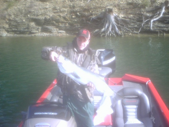 My name is Josh I just turned 15 and I caught this 36inch Striper on a Zara puppy while fishing for smallmouth at Lake Cumberland. I was using light spinning tackle and 6# test.