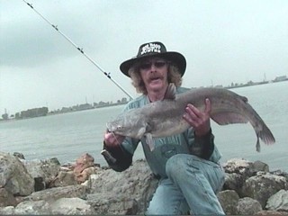 This 18 pound blue catfish was caught at LaSalle Lake in central Illinois. I was using small catfish cutbait fillets.     Many big cats can get caught right one the banks.