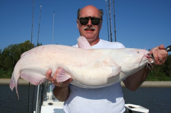 34 lb Blue cat caught in memphis harbor 9-24-09
