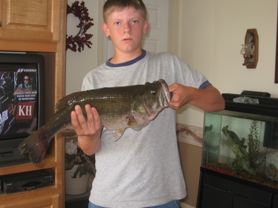 This is one of the largest bass caught out of my 5-acre pond. It weighed 6-7 pounds.