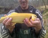 caught in trout streem in franklin co. virginia.
