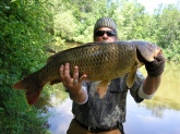 this carp weighed in at 32 pounds 18 inch girth ,38inches long.caught in grand island ny