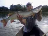 35 inch musky 10 pounds first one its actually my dad holding the fish but I caught it.