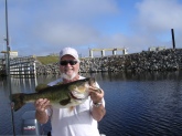 I caught this Kissimmee River Hawg 12/17/2008 on a Rapala Jointed Shad Rap...Shad color fishing with my longtime friend Bill Steele from Hixson Tennessee. This largemouth weighed 10lbs 8ozs on a certified Boga grips. She was released to fight another day..!!!