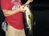 A little night fishing at Gumpas pond in pelham N.H. My son and I were hitting the heavily veggitated lilly's using 7