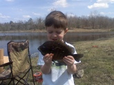 bluegill cuaght in private pond pond by my son dalton. gave him a great fight he loves to go fishing and i love to watch him catchem he makes me proud.