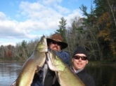 These two muskies were caught (and released ) on the Chippewa River in Northern Wisconsin.  The largest Musky caught was a 51