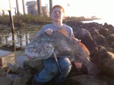 thji drum was caught by my son jesse in the early morning hours of feb 27 2011 in louisiana , on one of the gulf inlets of the miss. River. It was approx, 40 lbs. And caught on shrimp. He gave my son the best fight he had ever experienced . He landed the big boy on a medium rod with 20 test wow what a catch huh