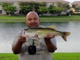 5 1/4 Lbs. large mouth Bass cought in cutler Bay Fl. On a black cray fish on a slow retrive.