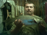 Caught a 22 inches 3.4 pound stripped bass at Truman Dam in Warsaw Missouri. Caught it off of a minnow.