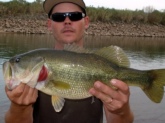 I stuck this 5.5lb pig on a yum speed craw on the colorado river near imperial dam outside yuma az