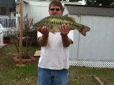 8pound 3 ounce largemouth bass caught on a zoom white trick worm in a pond in alabama
