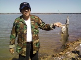 i caught this just yesterday right off the bank at lake fork near sulphur springs,tx.it's close to 5-6lbs