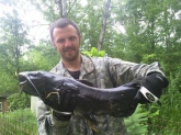 20.5 pound Channel Cat caught on the Snake River 8 miles north of Mora MN.